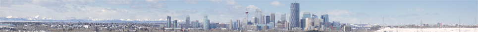 non-standard-sized banner ad for Trierarch Web Design and Development featuring Calgary skyline